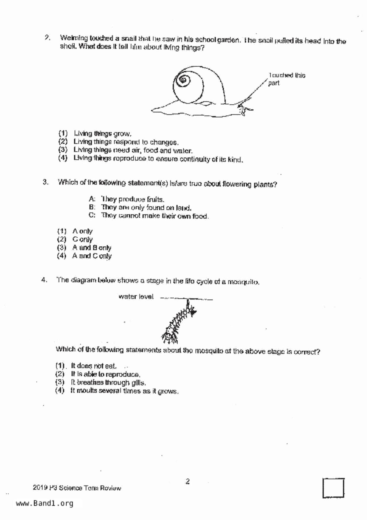 P3Science試卷