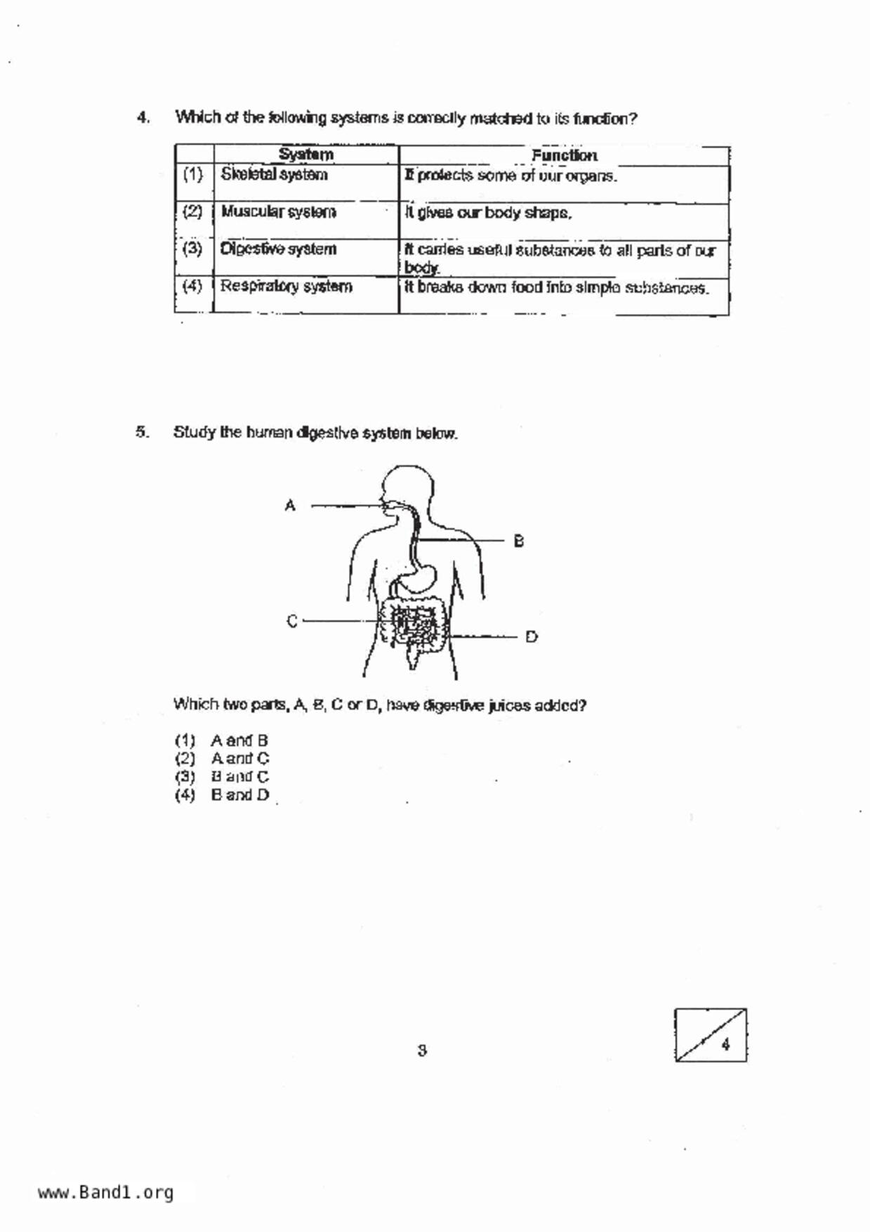 P3Science試卷
