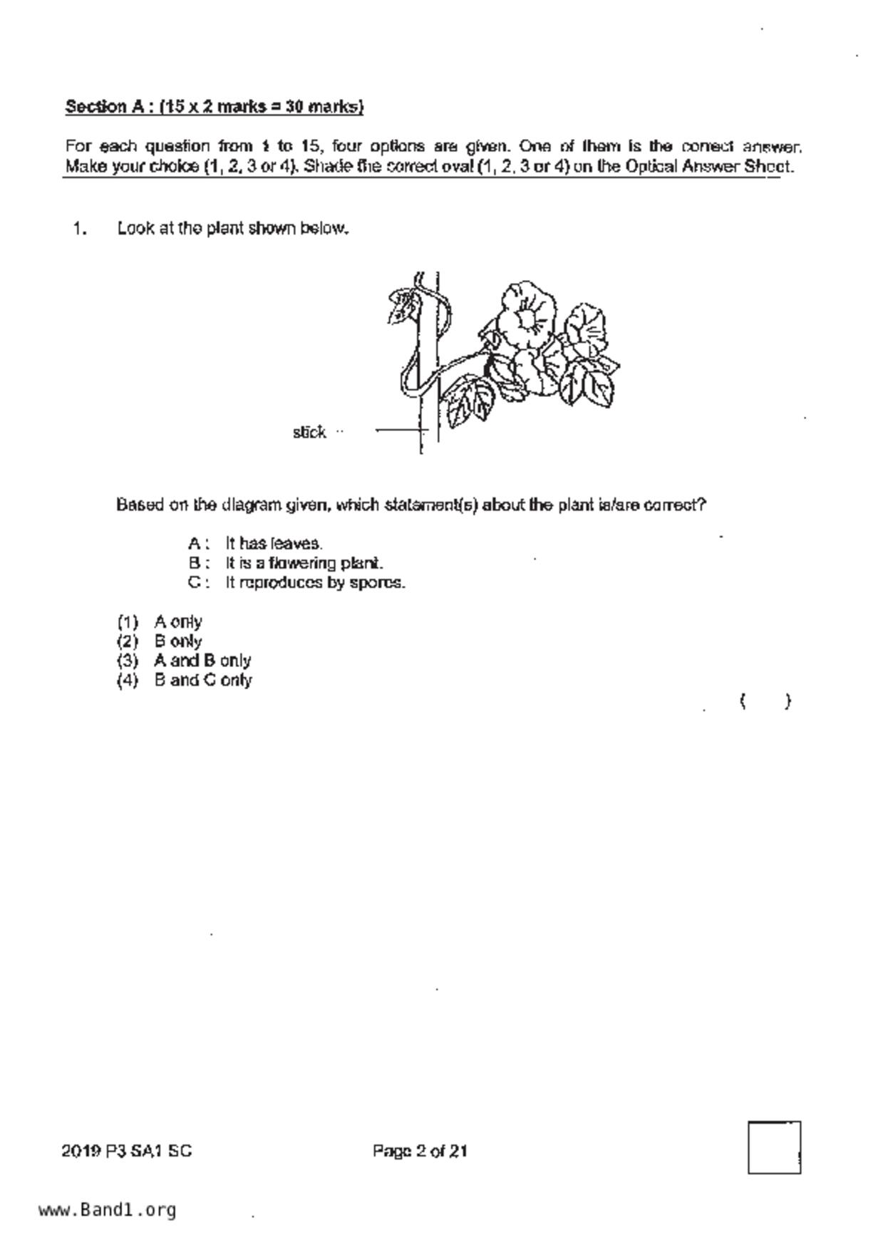 P3Science試卷