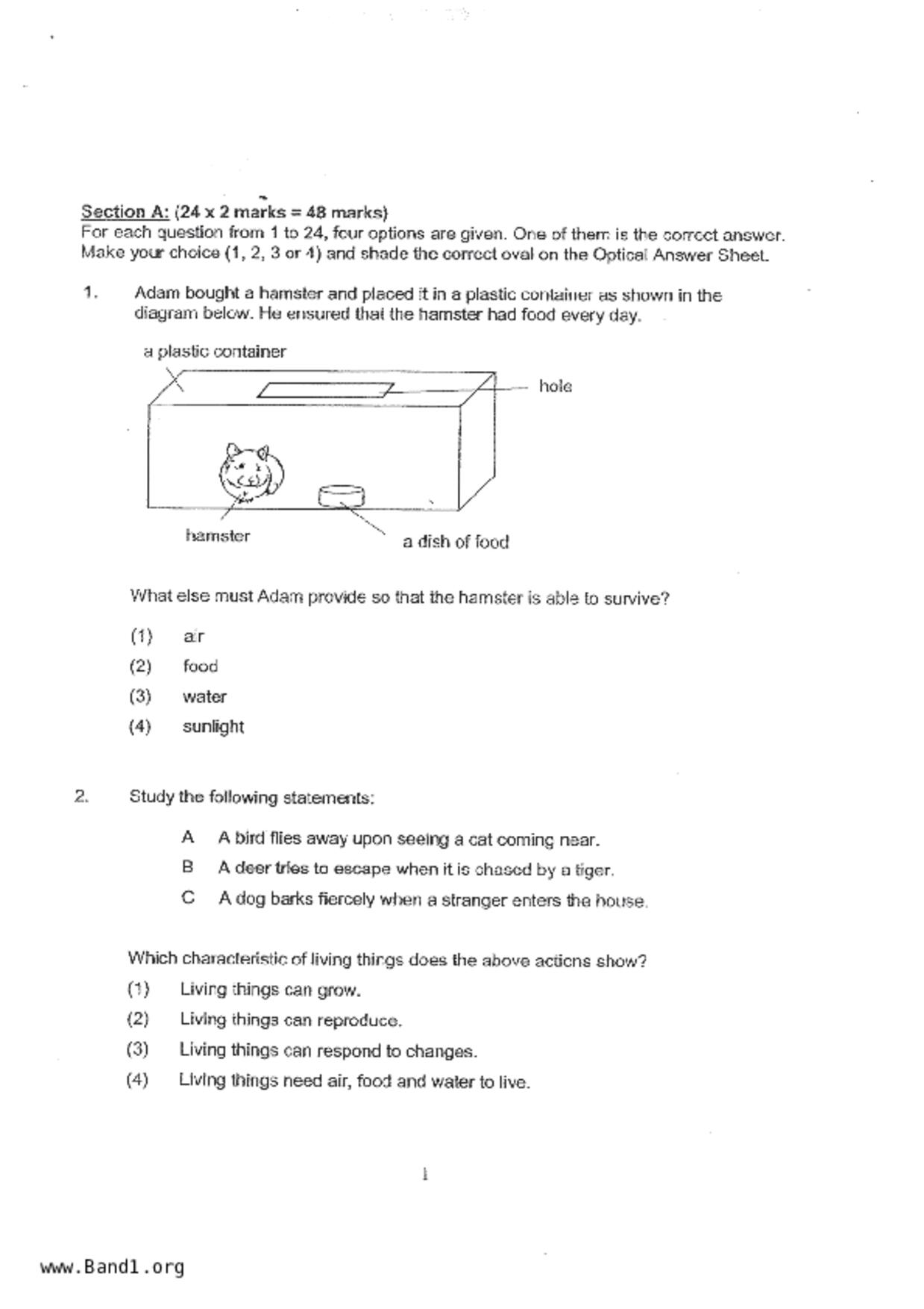 P3Science試卷