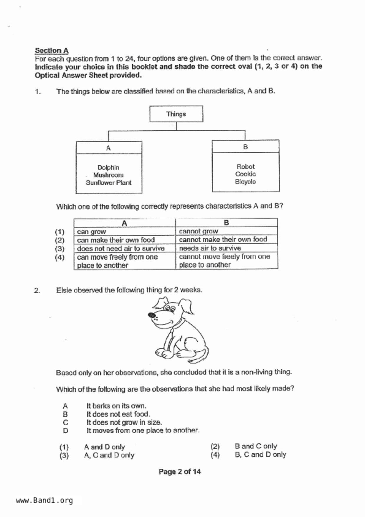 P3Science試卷