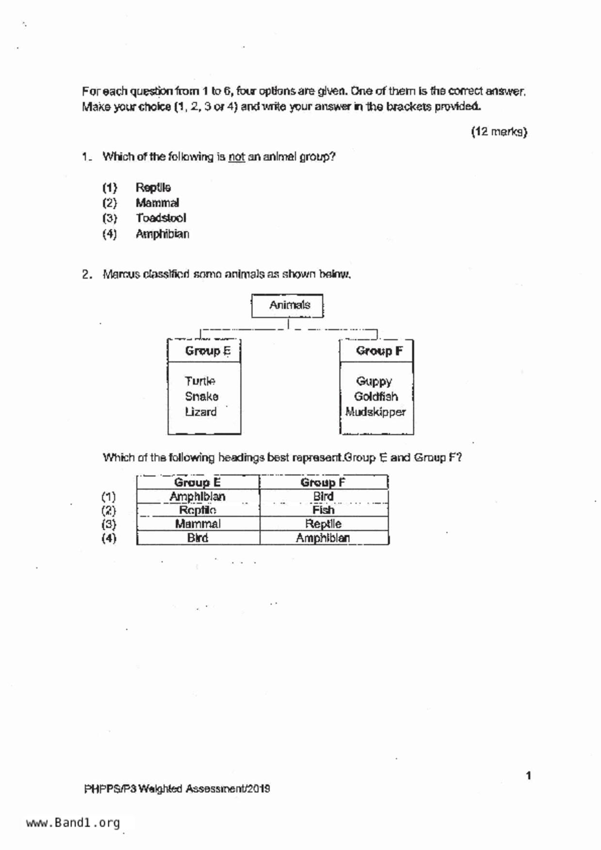 P3Science試卷