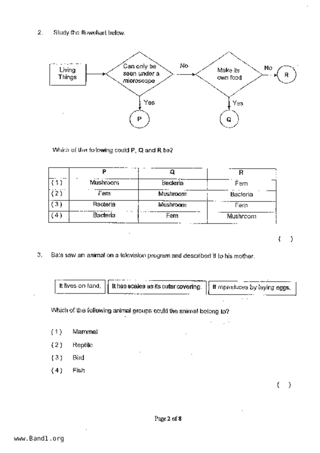 P3Science試卷