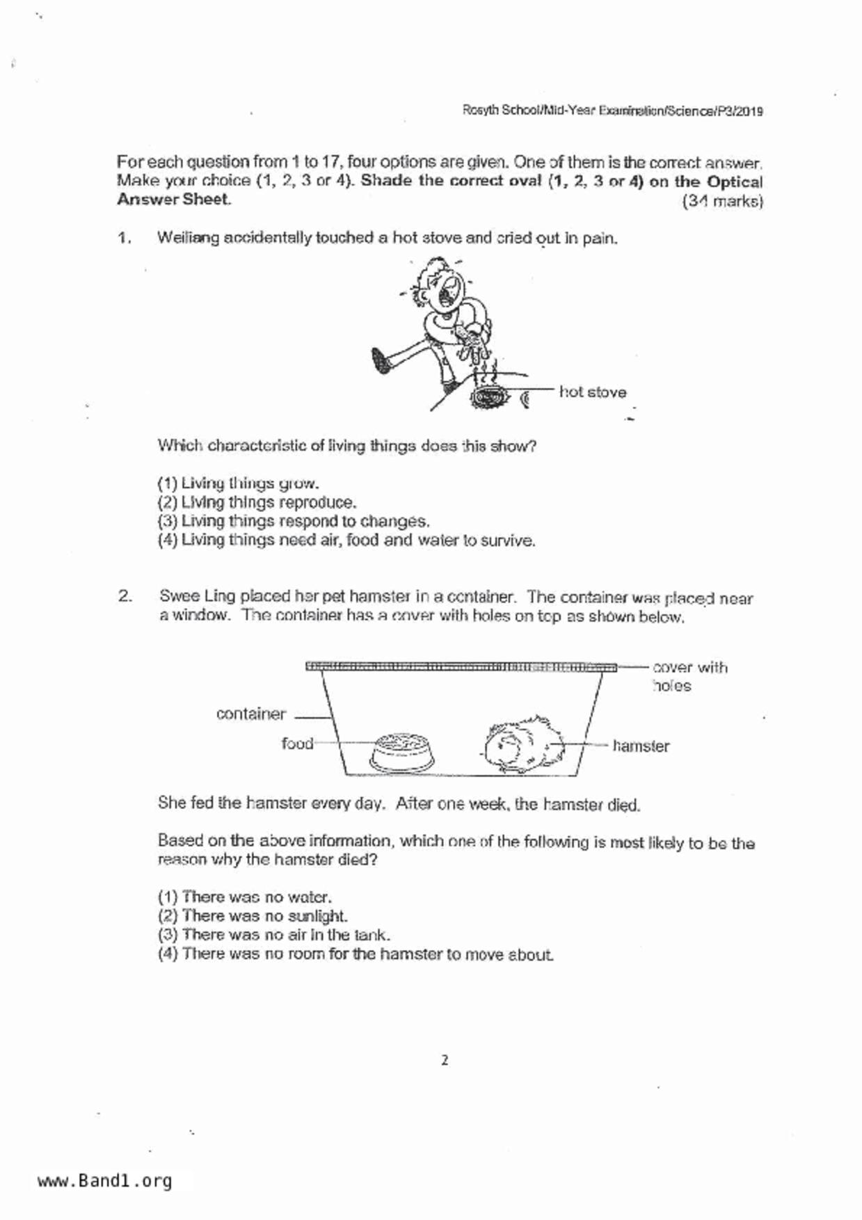 P3Science試卷