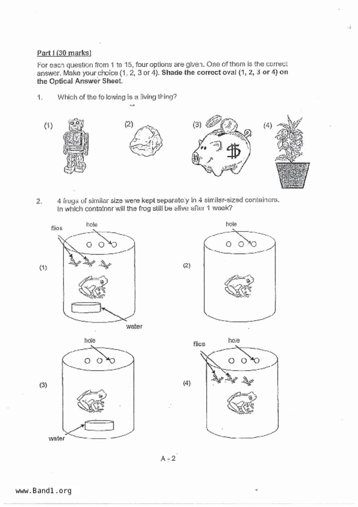 P3Science試卷