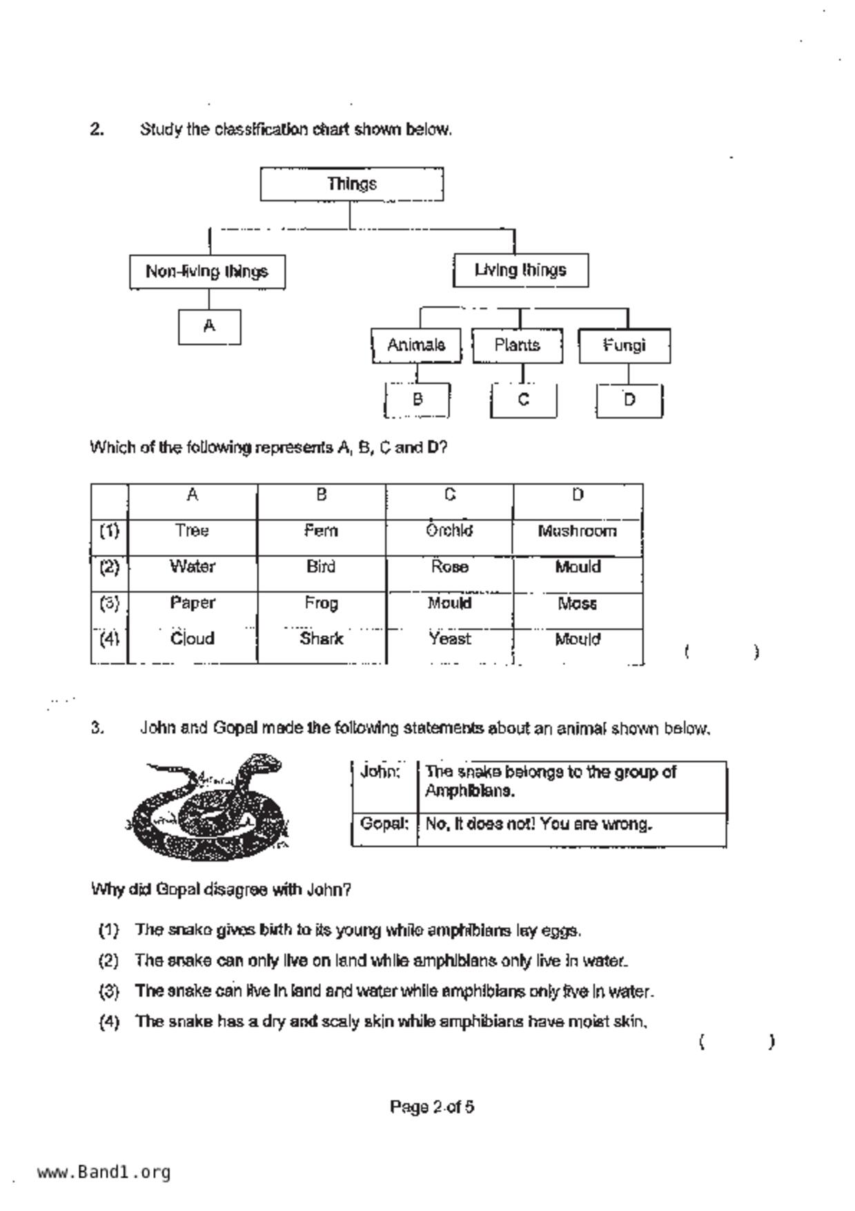 P3Science試卷