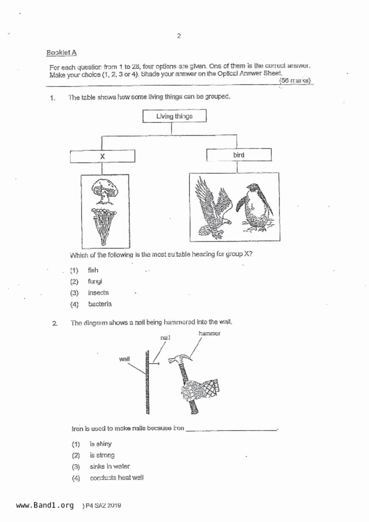 P4Science試卷