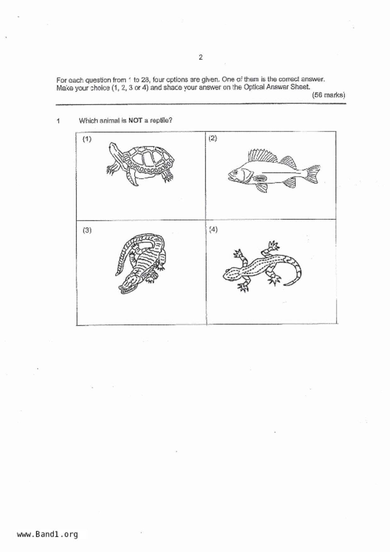 P4Science試卷