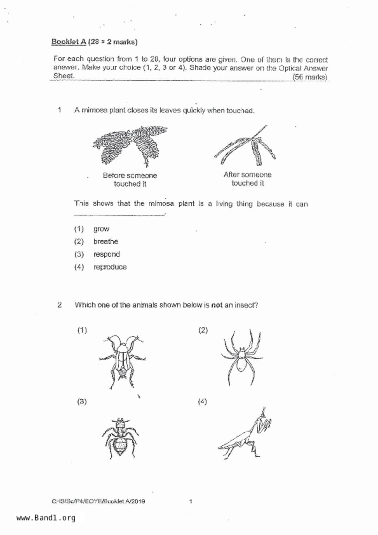 P4Science試卷