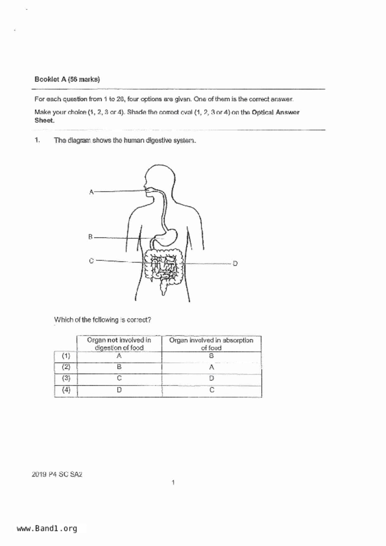 P4Science試卷