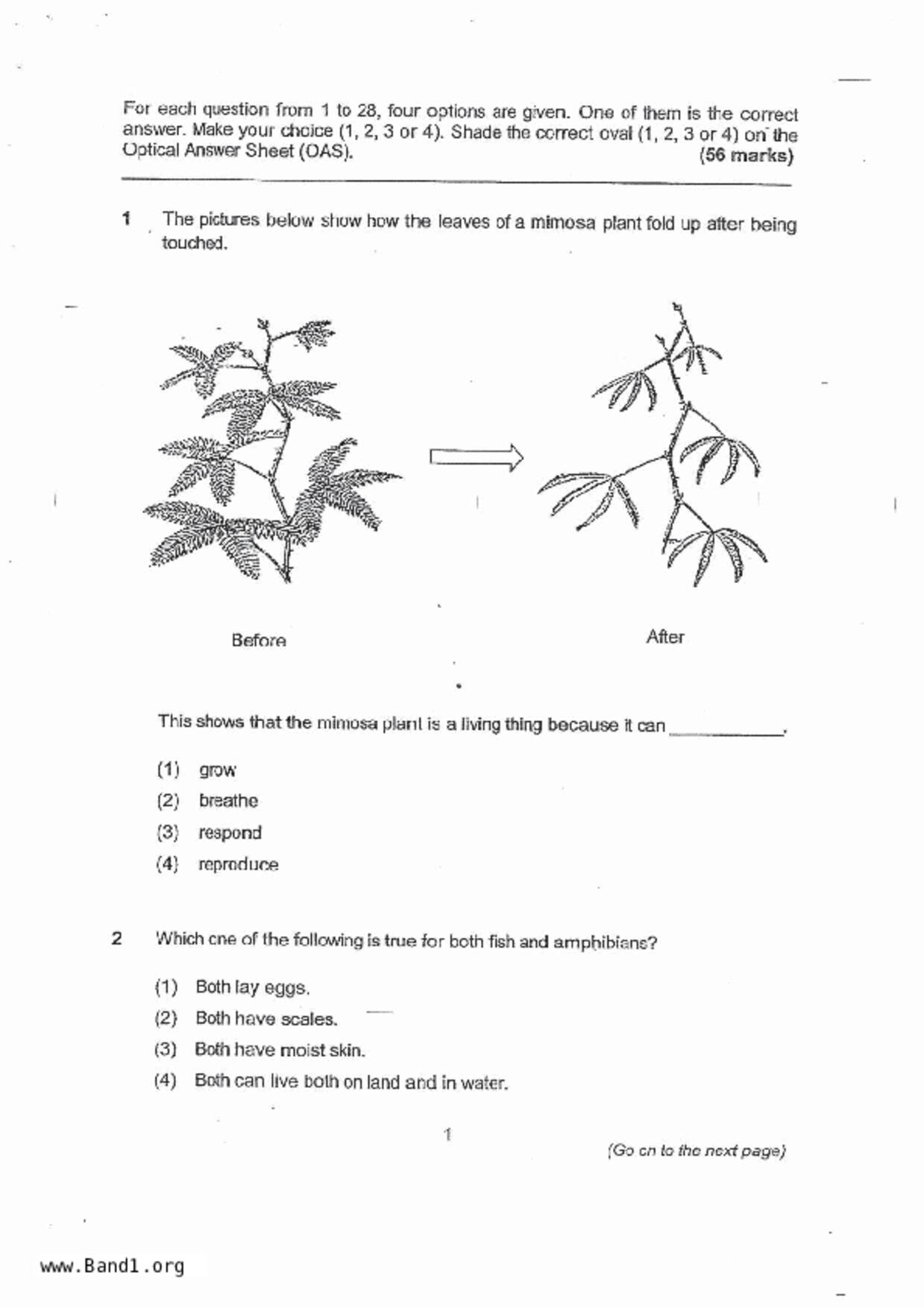 P4Science試卷