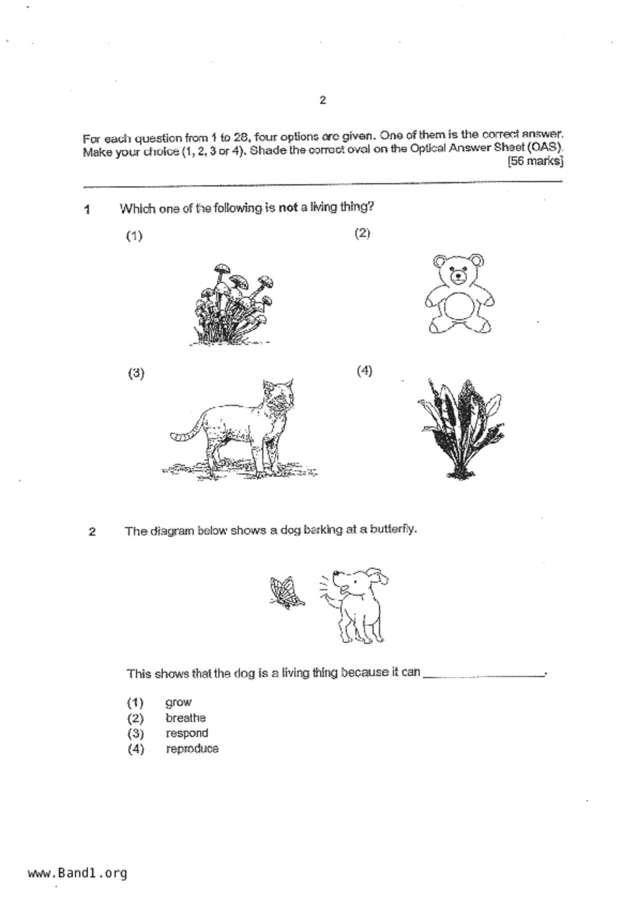 P4Science試卷