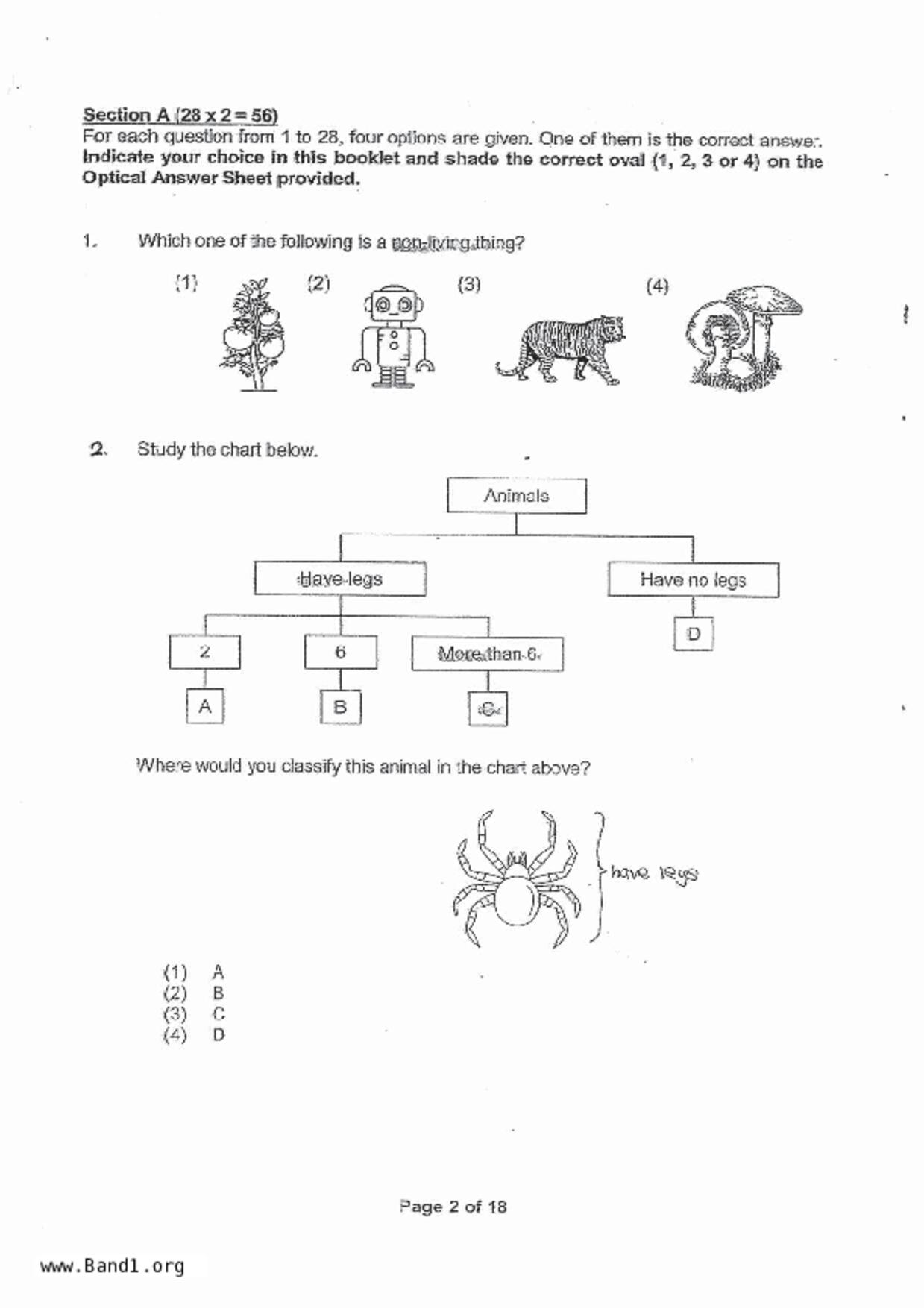 P4Science試卷
