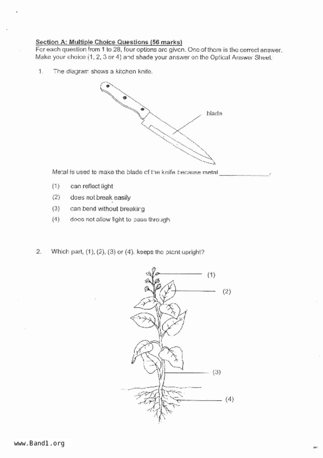 P4Science試卷