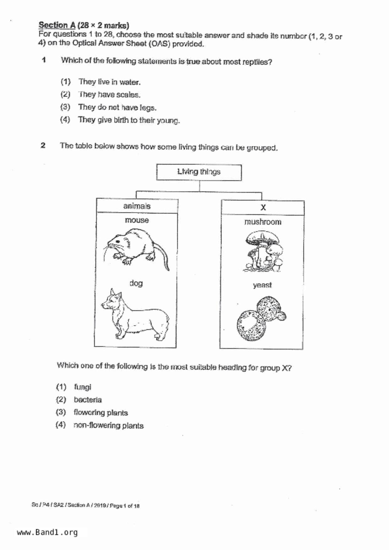 P4Science試卷