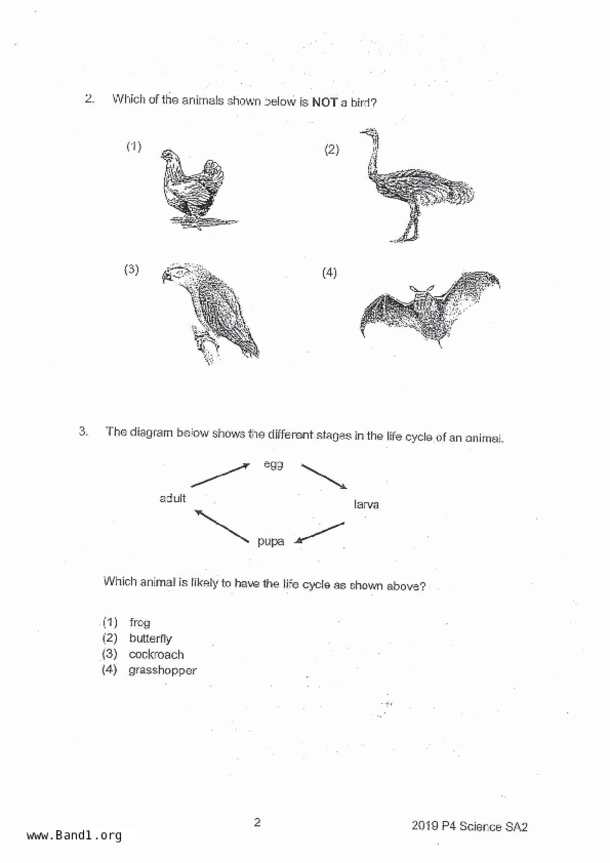 P4Science試卷