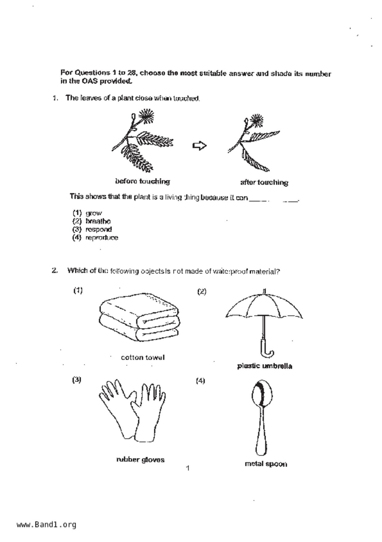 P4Science試卷