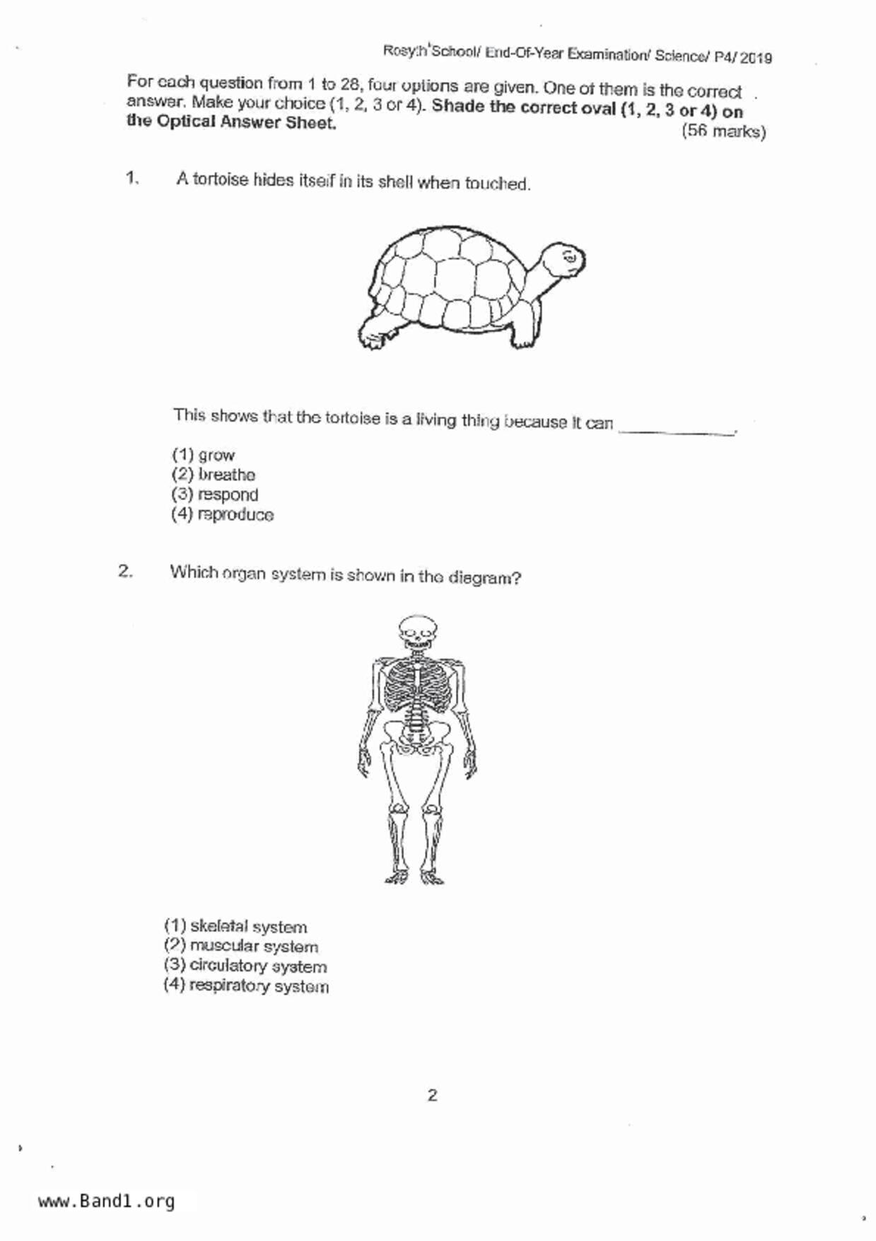 P4Science試卷