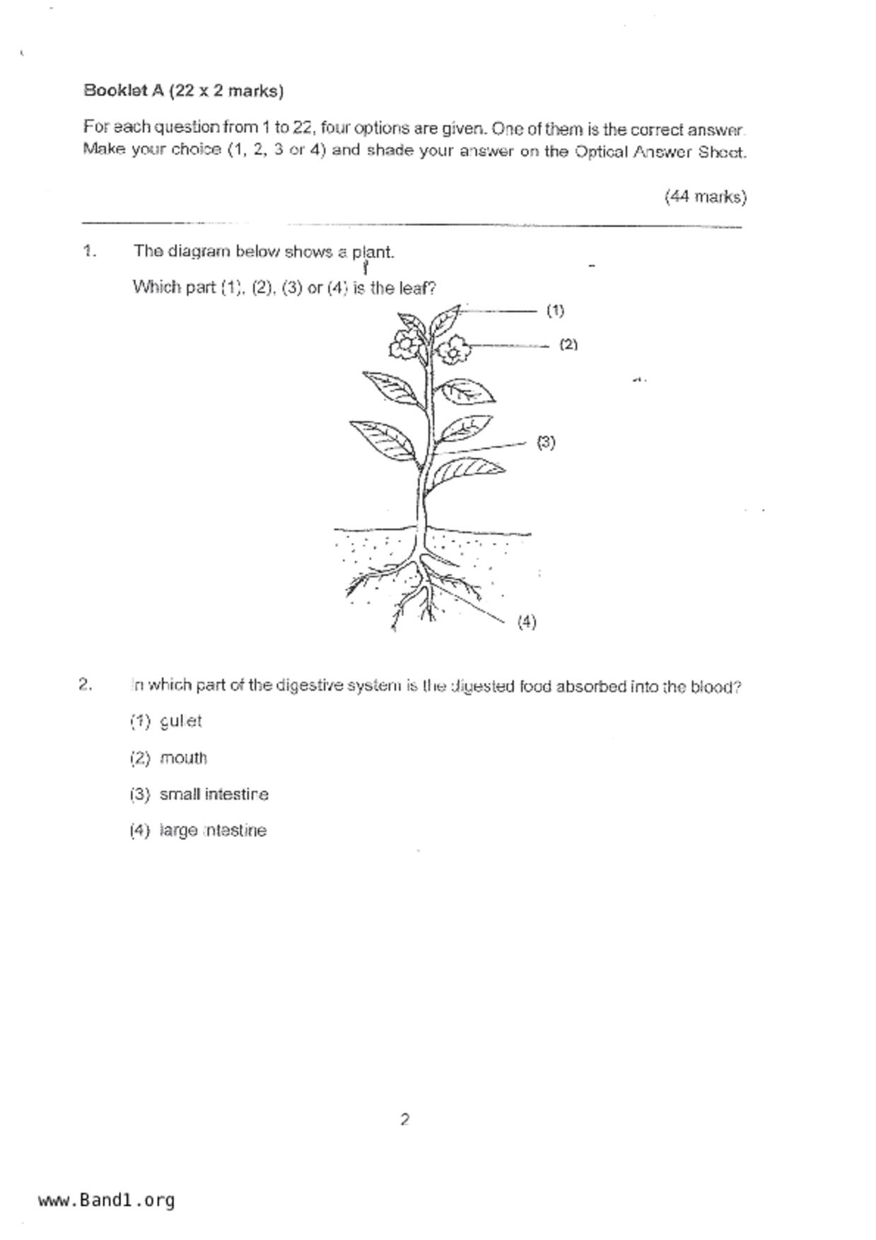 P4Science試卷