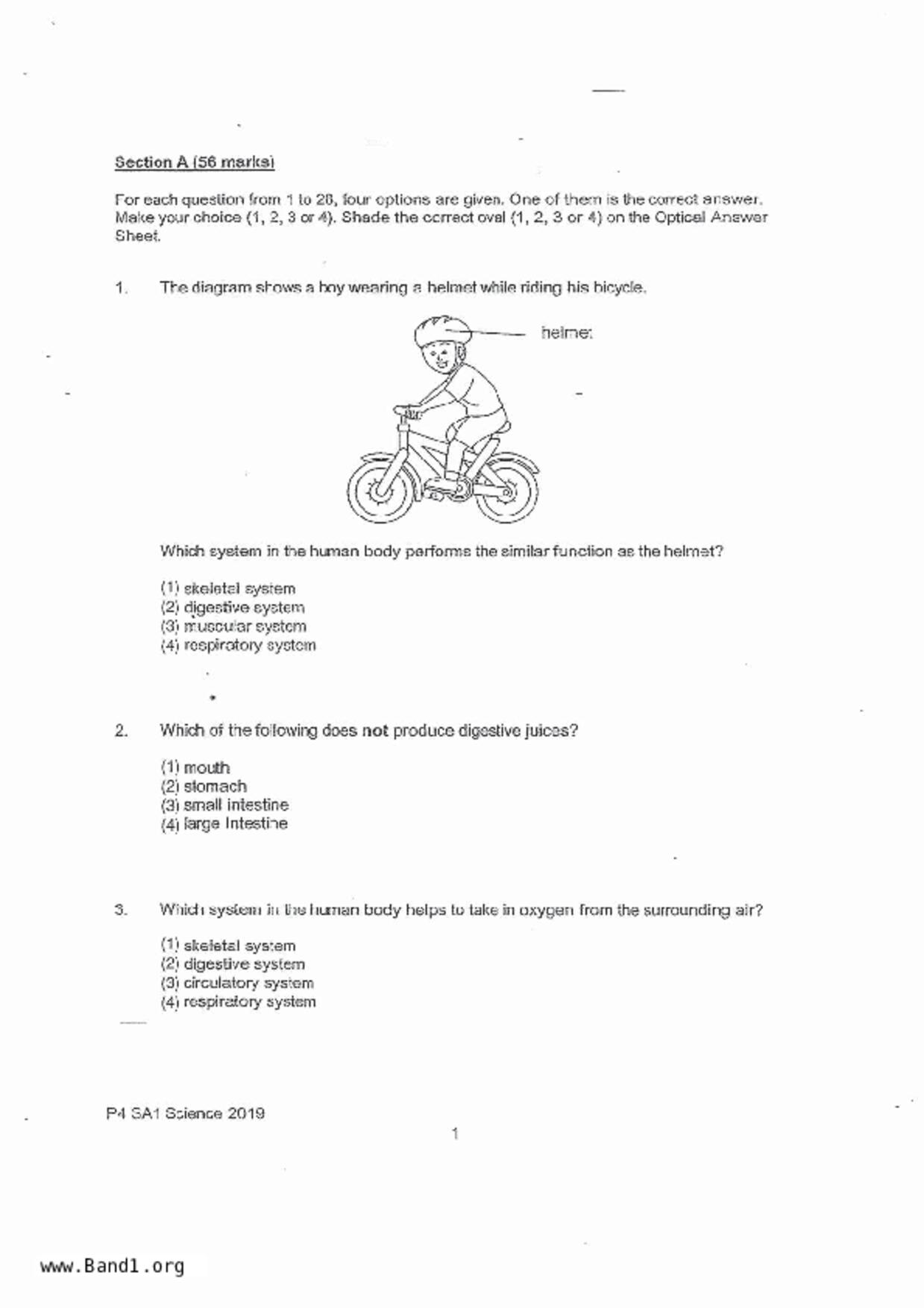 P4Science試卷