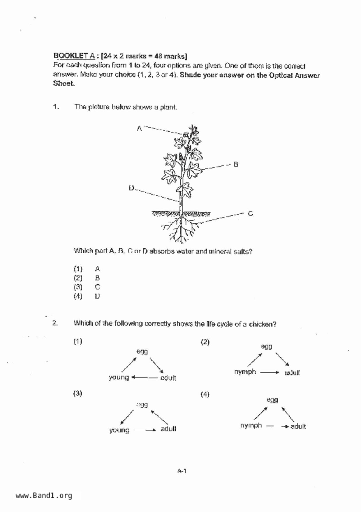 P4Science試卷