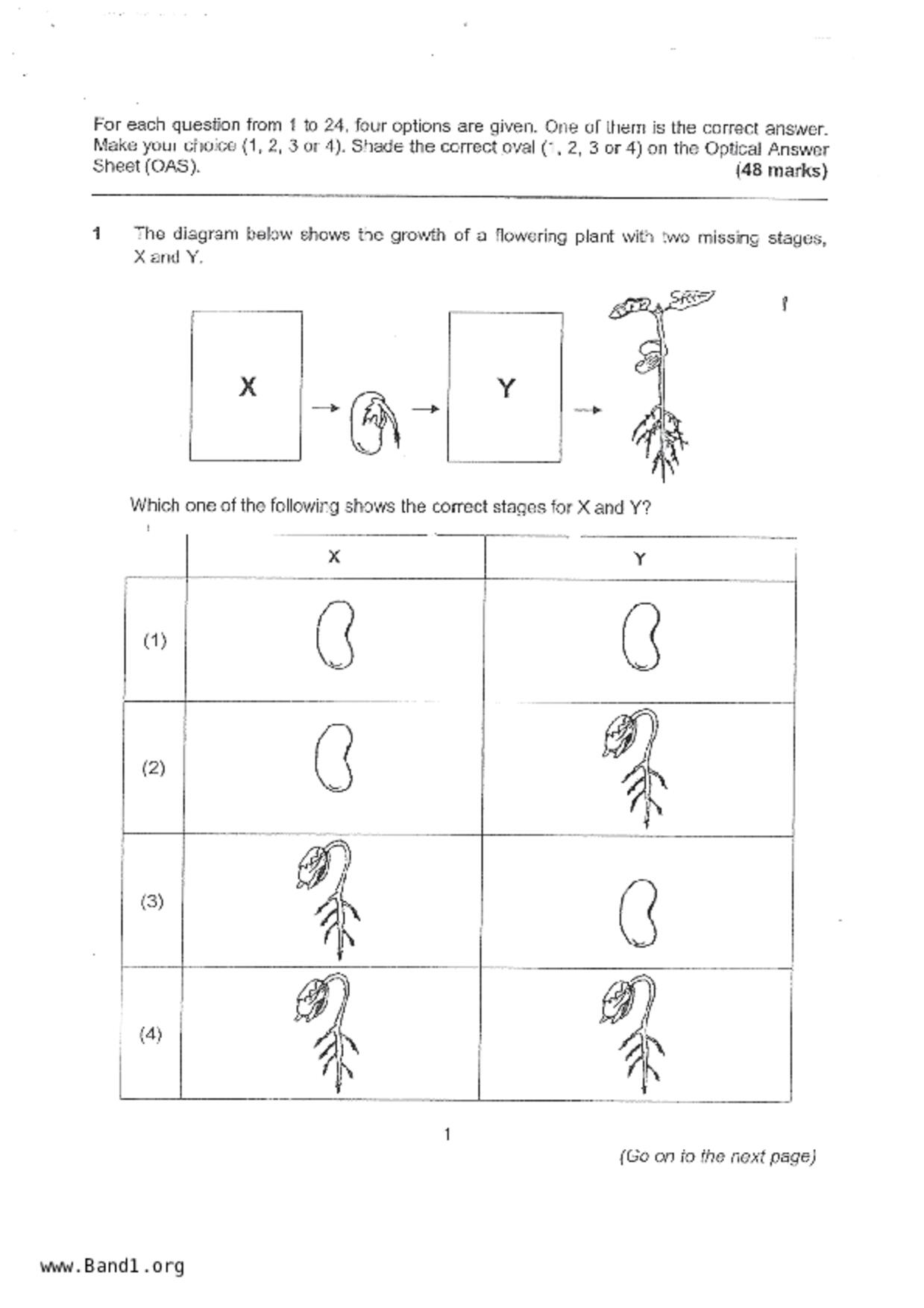 P4Science試卷