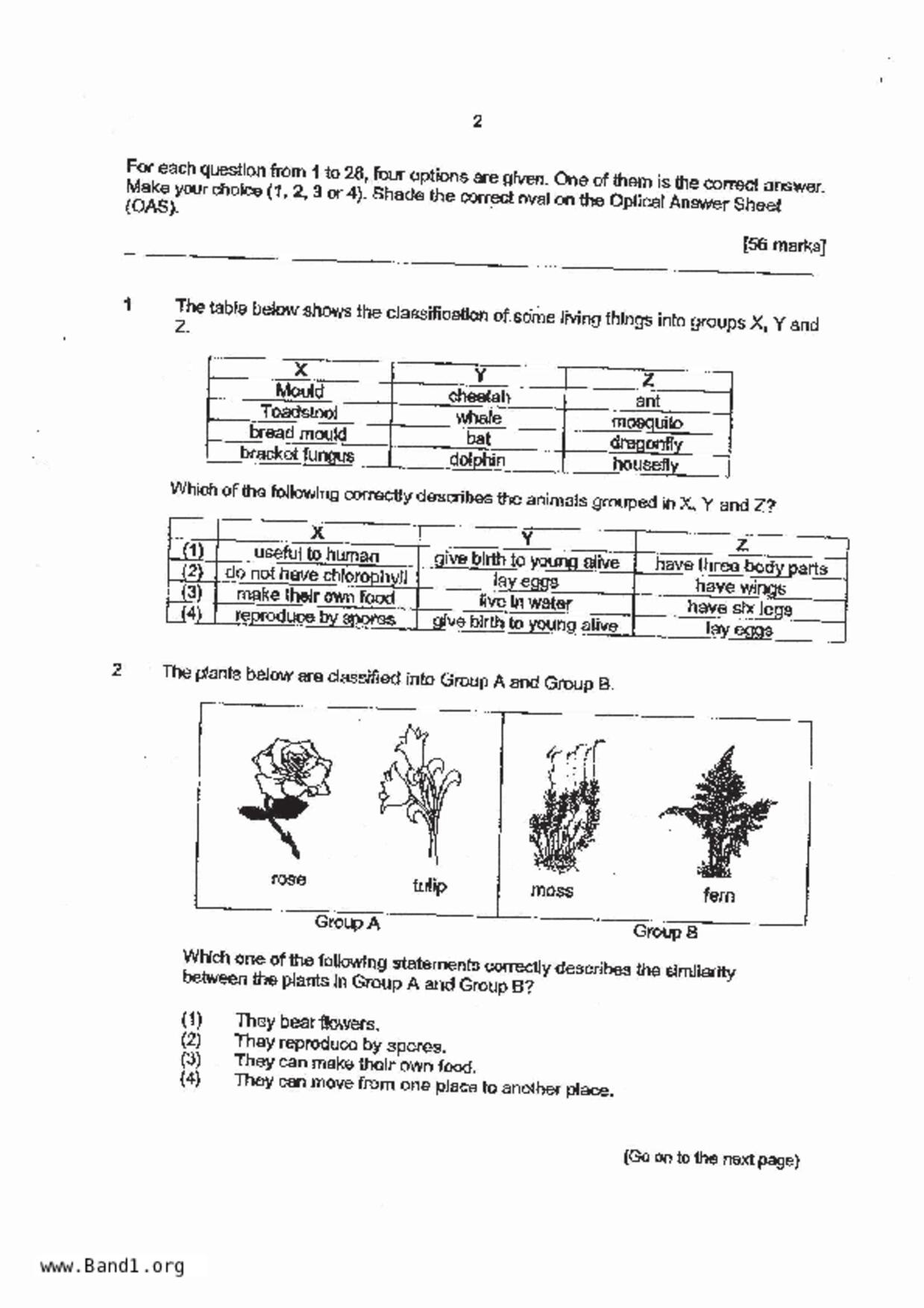 P4Science試卷