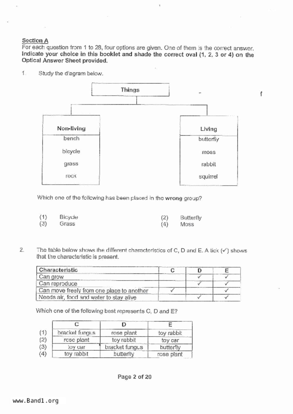 P4Science試卷