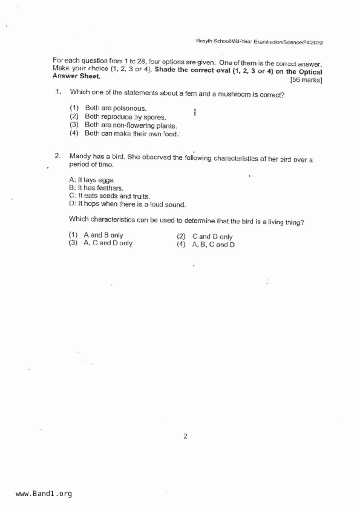 P4Science試卷