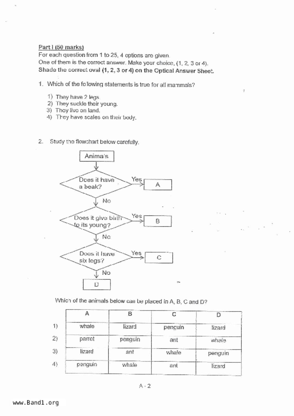 P4Science試卷