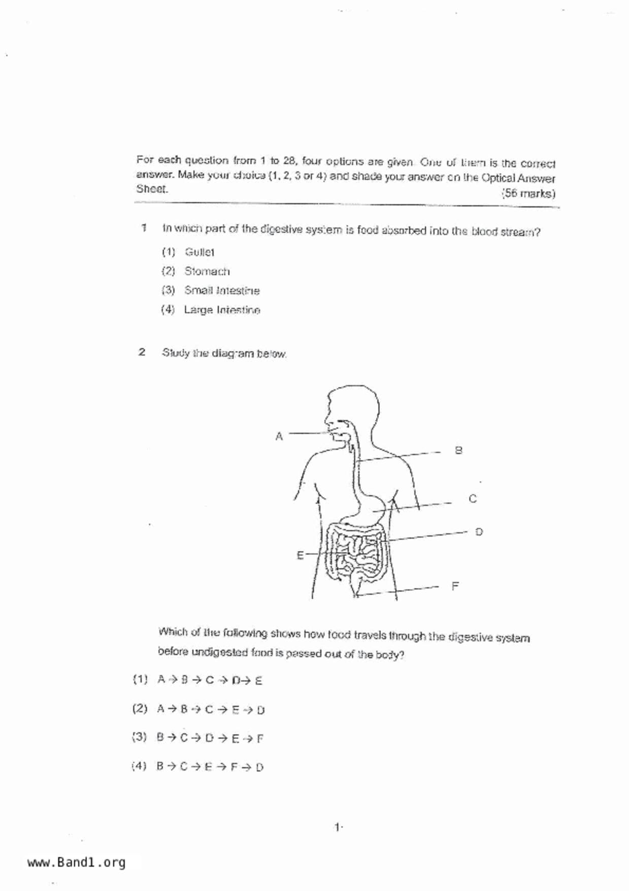 P4Science試卷