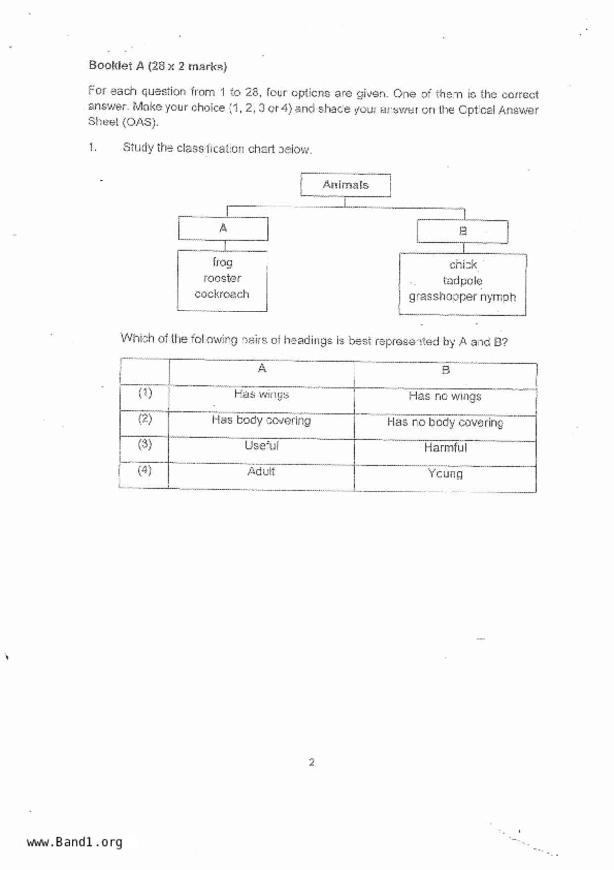 P4Science試卷