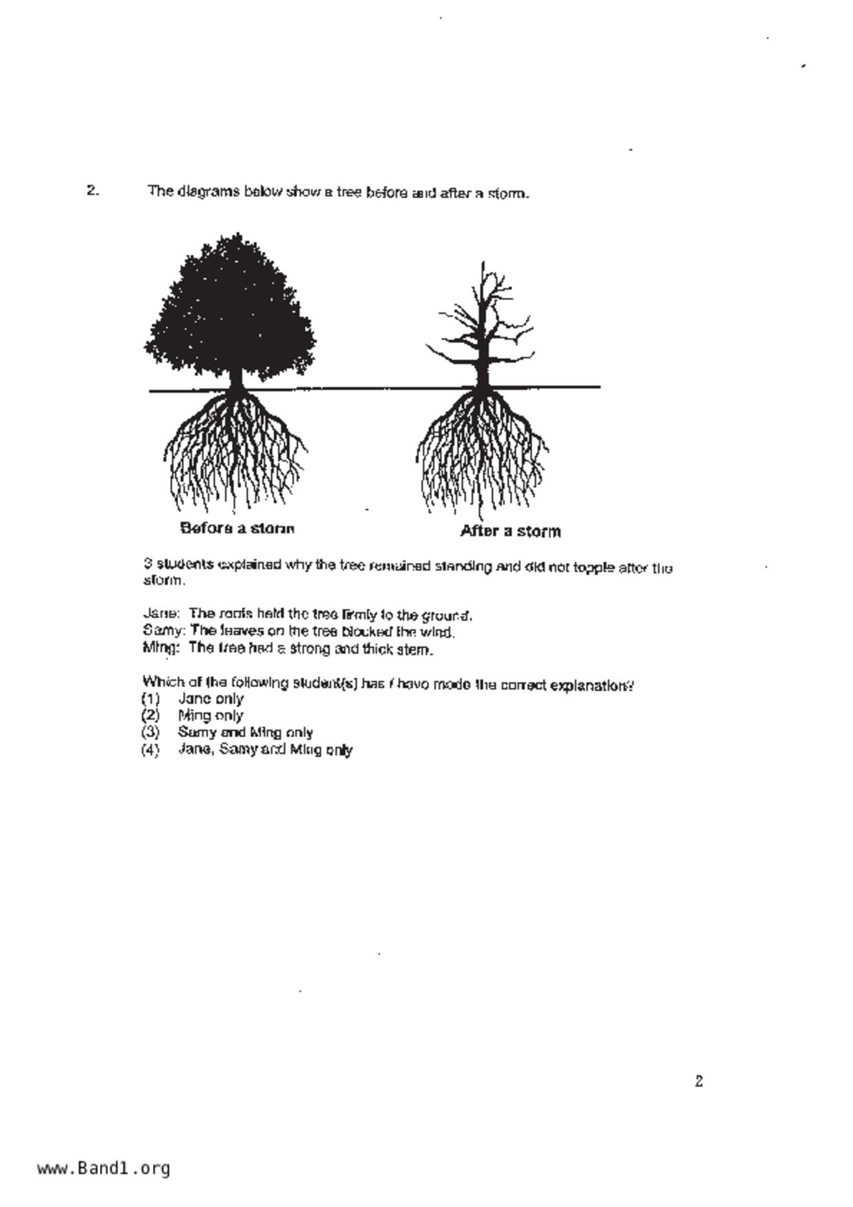P4Science試卷