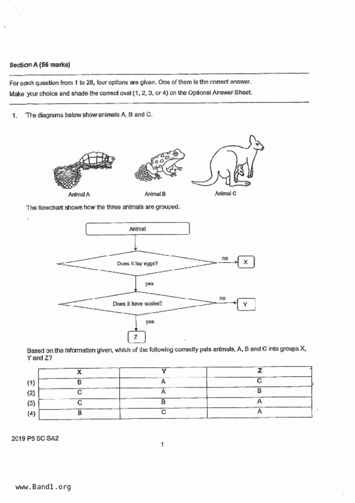 P5Science試卷