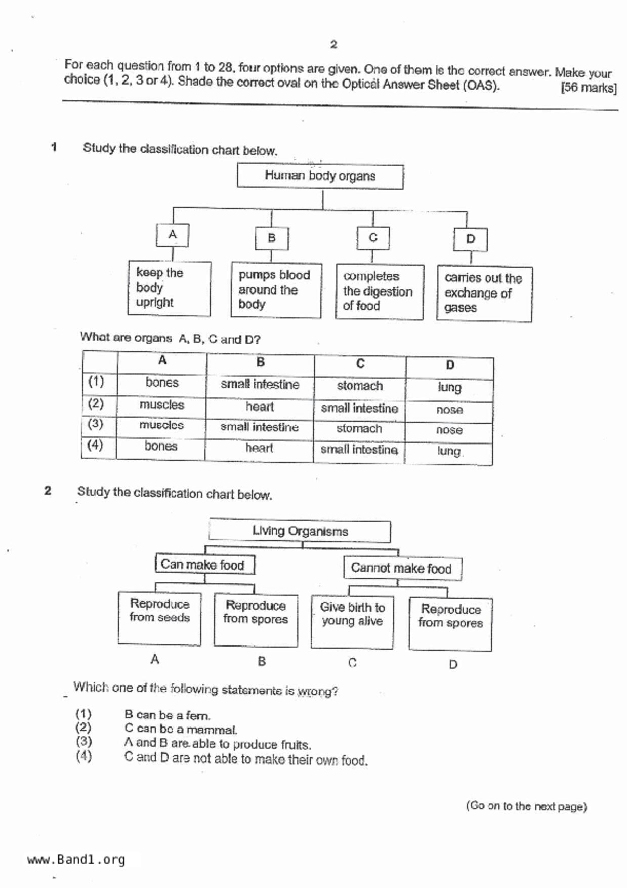 P5Science試卷