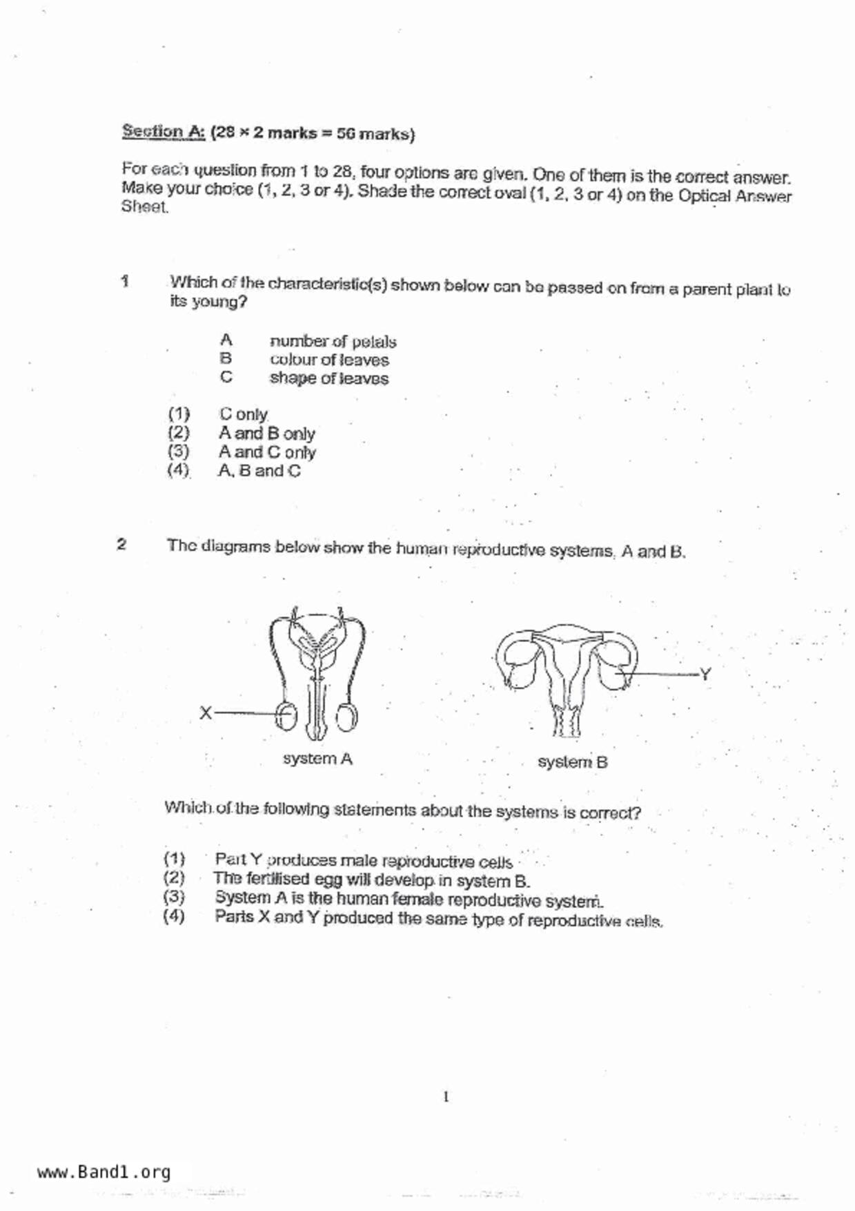 P5Science試卷