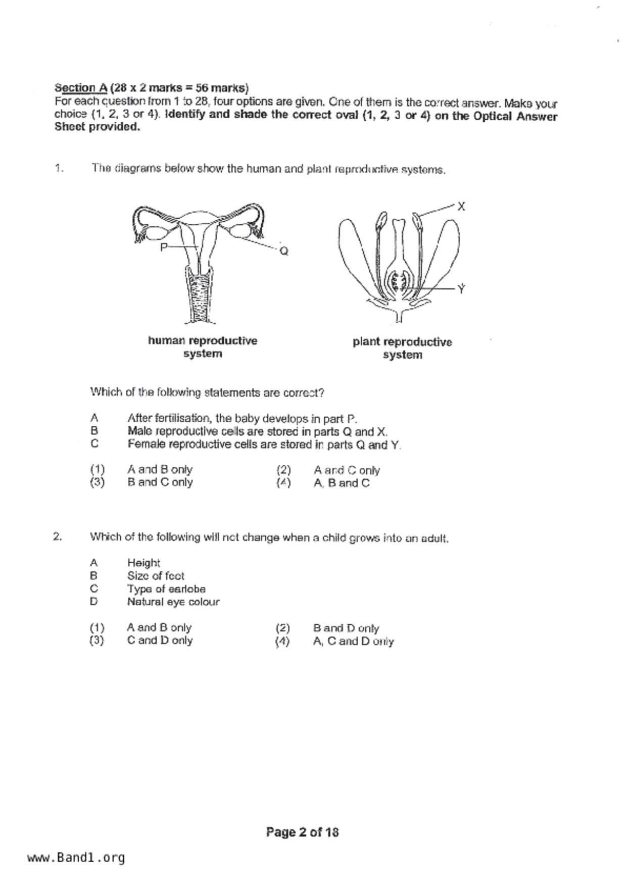 P5Science試卷