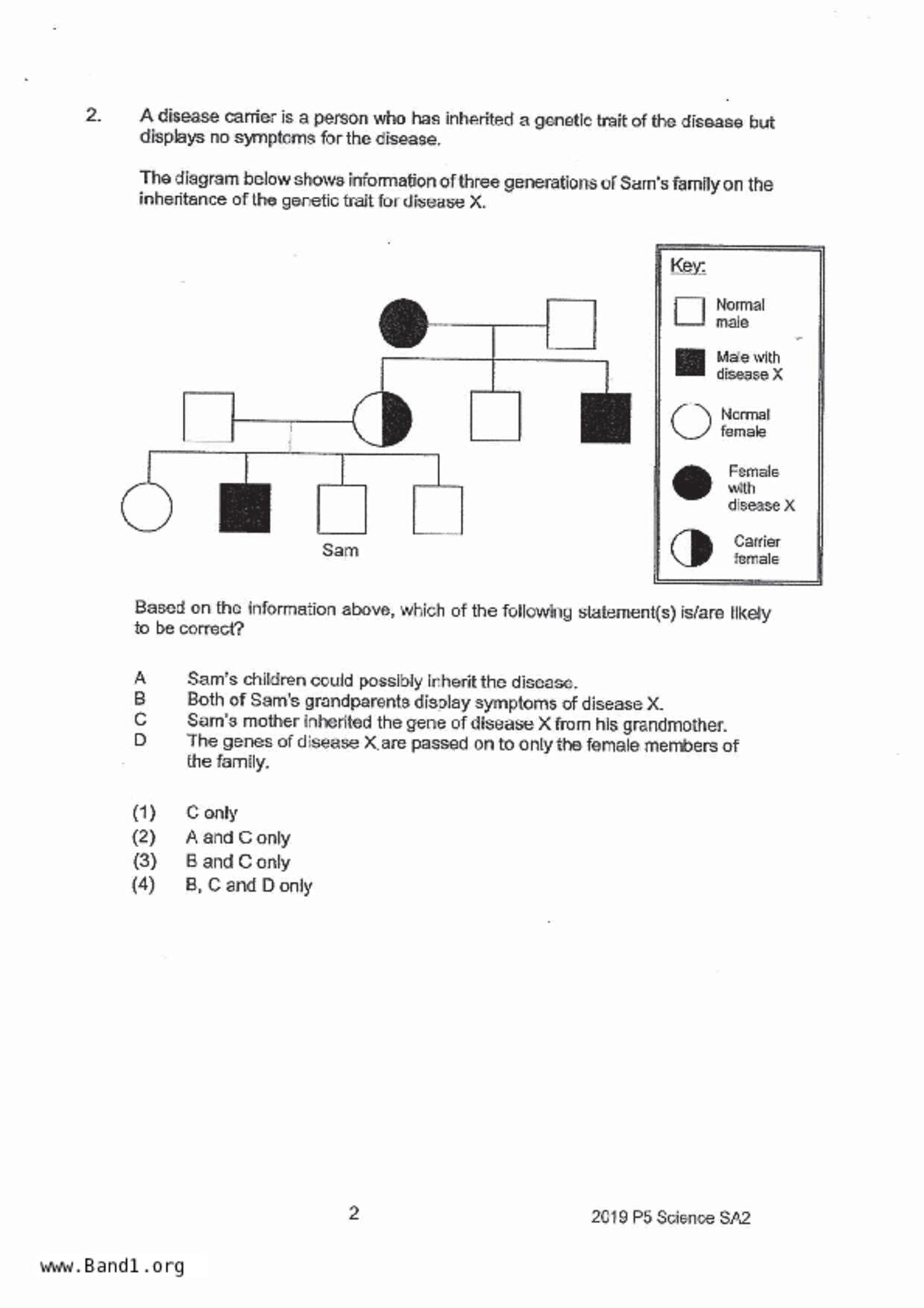 P5Science試卷