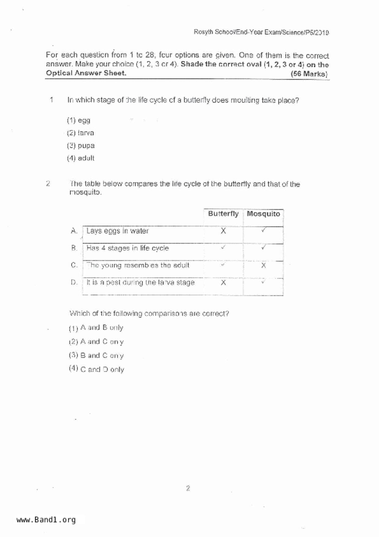 P5Science試卷