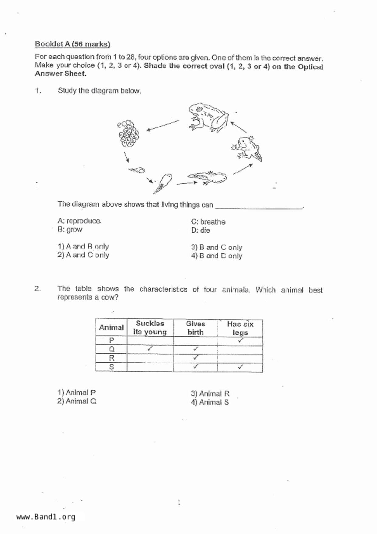 P5Science試卷