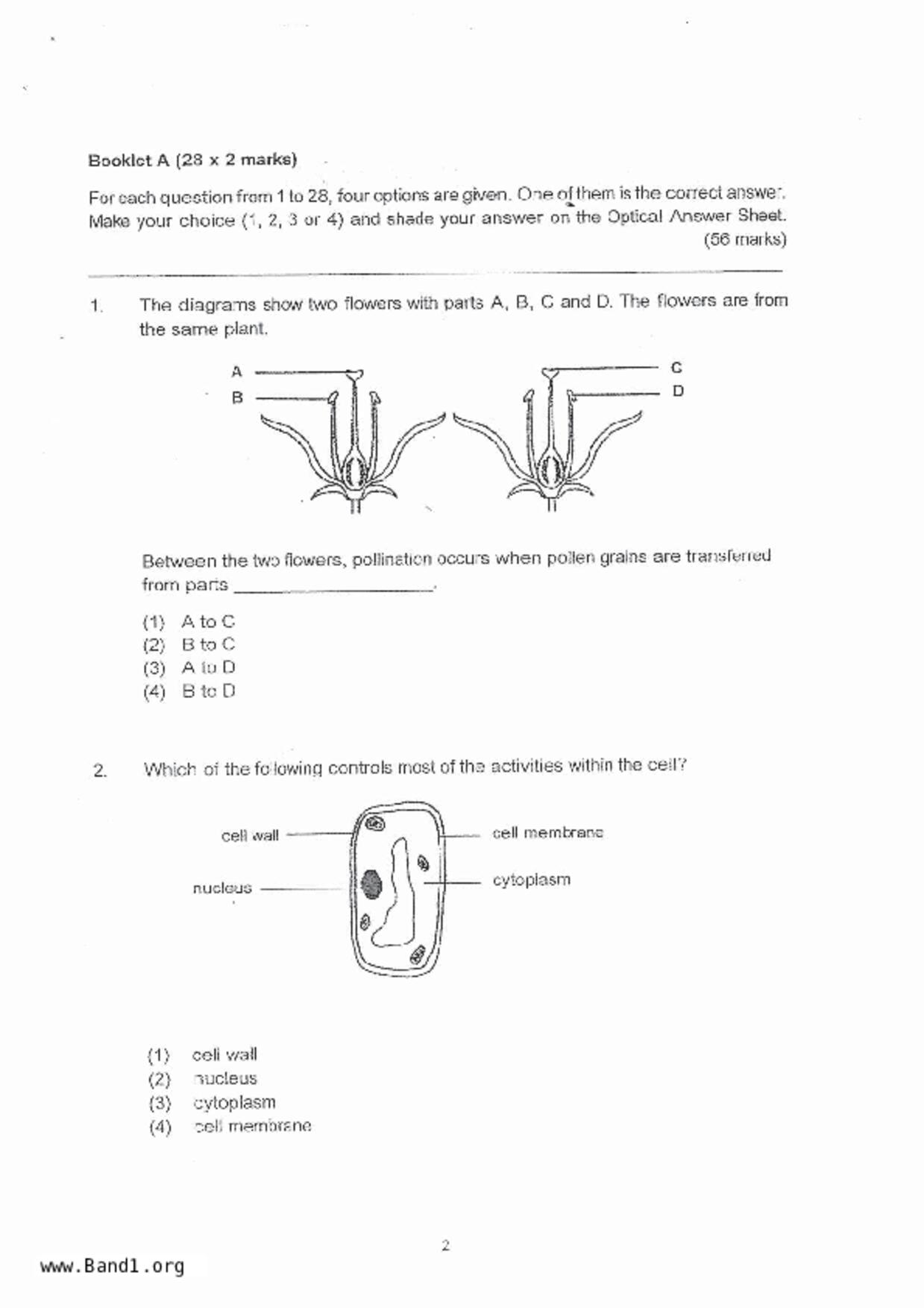 P5Science試卷