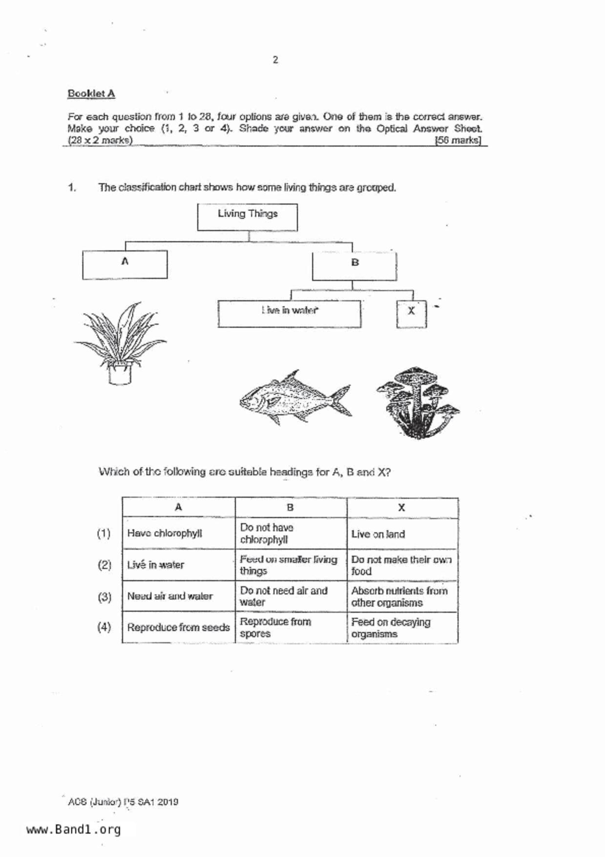 P5Science試卷