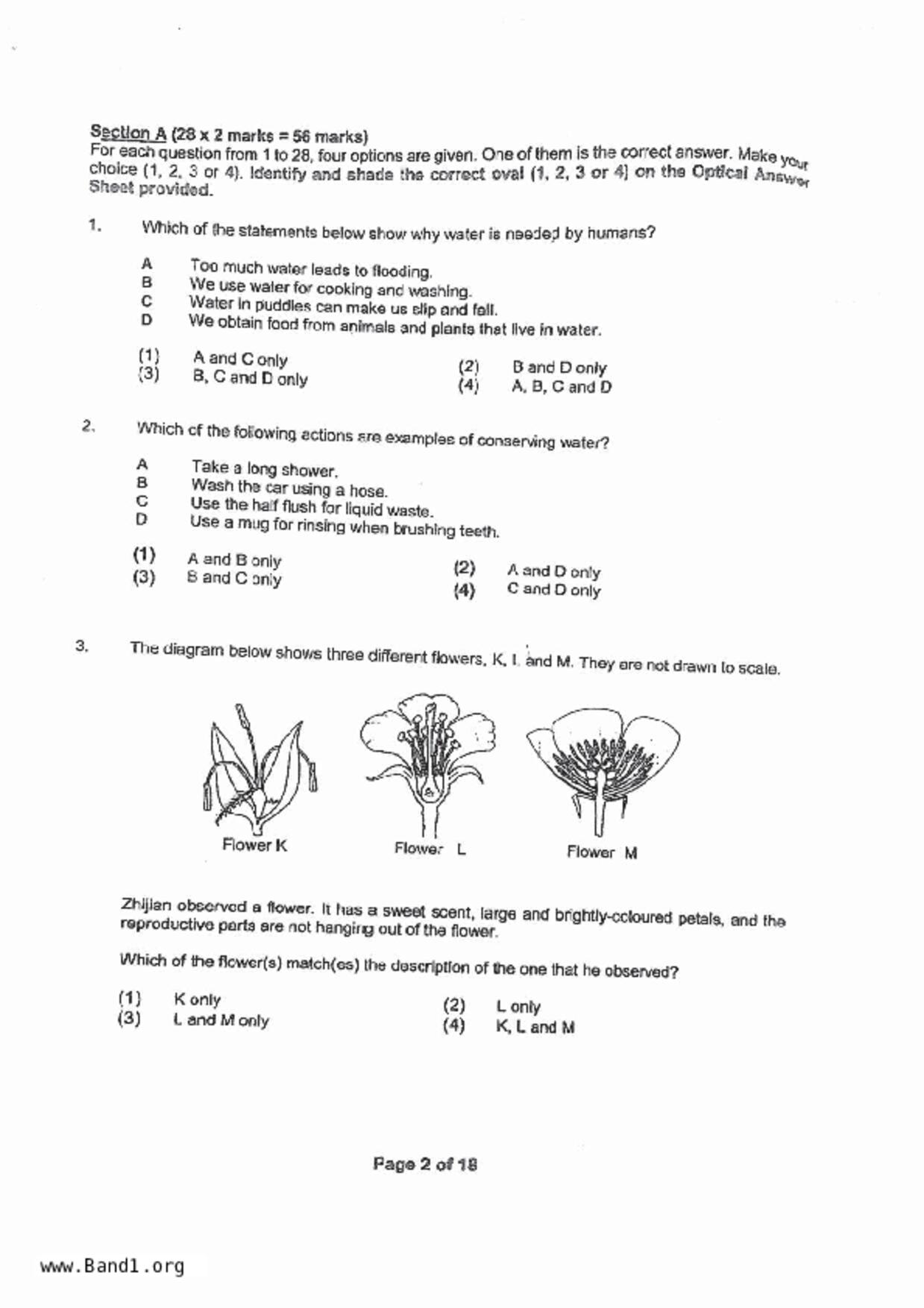 P5Science試卷