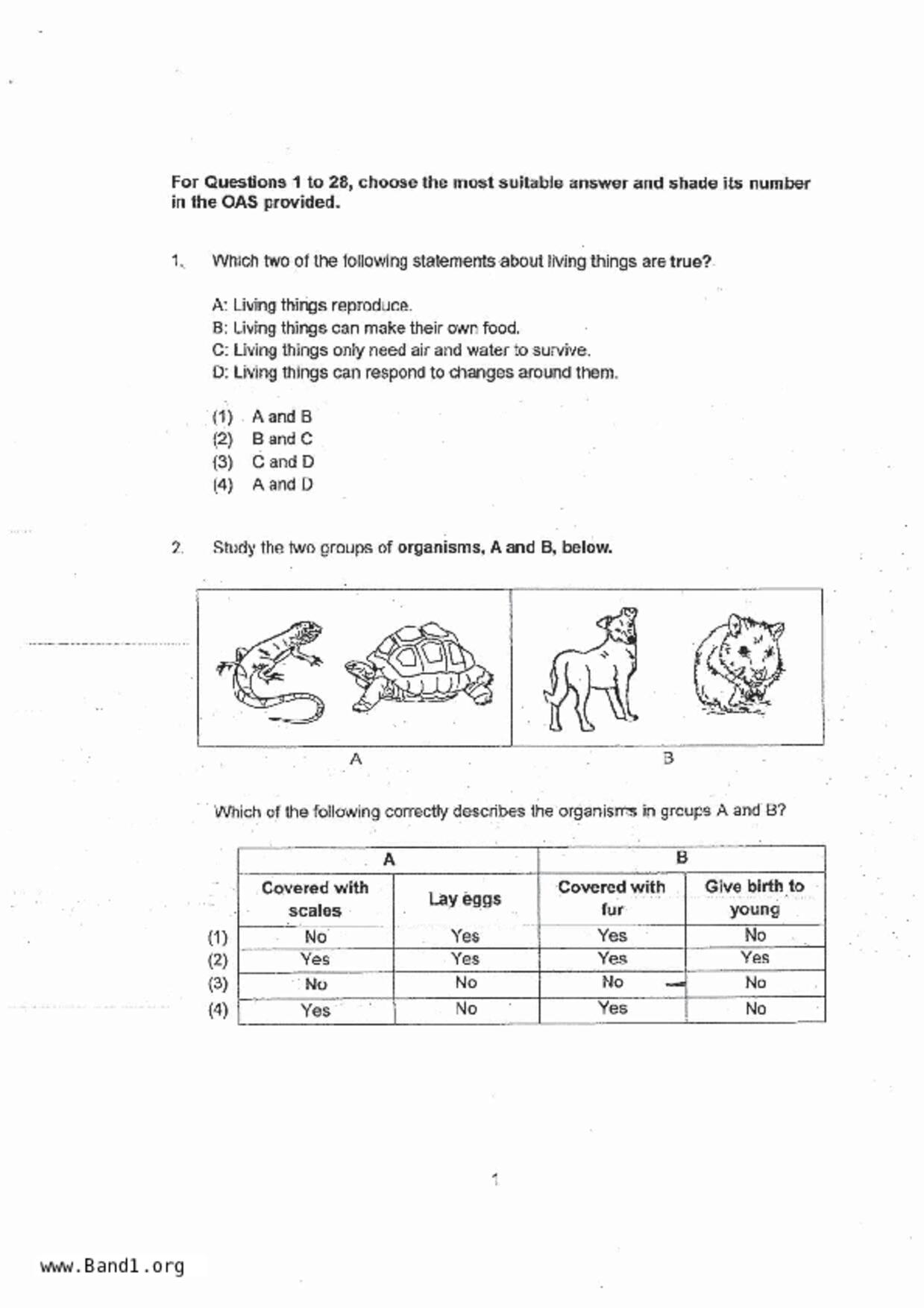 P5Science試卷