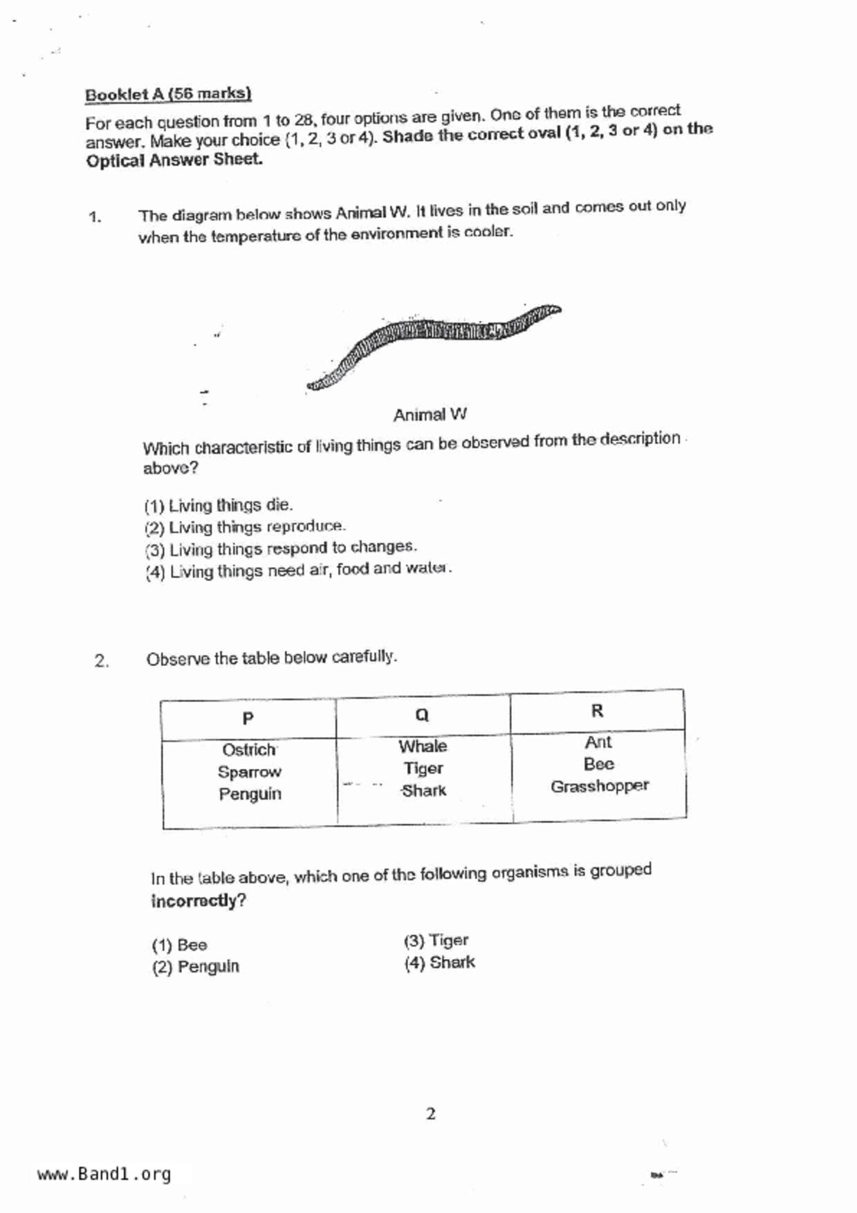 P5Science試卷