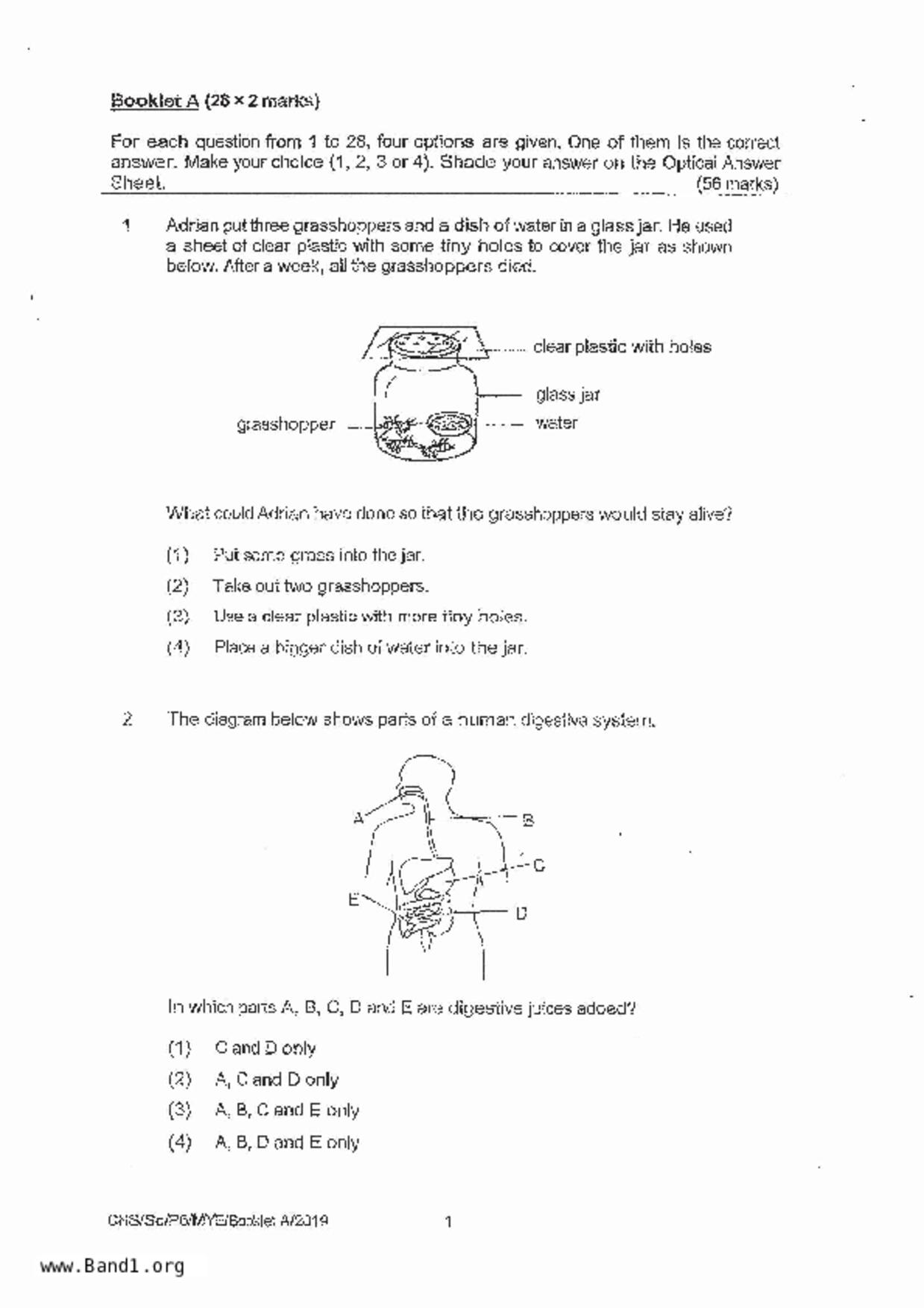 P6Science試卷