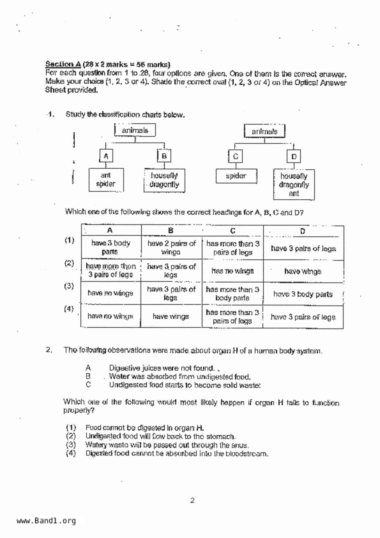 P6Science試卷