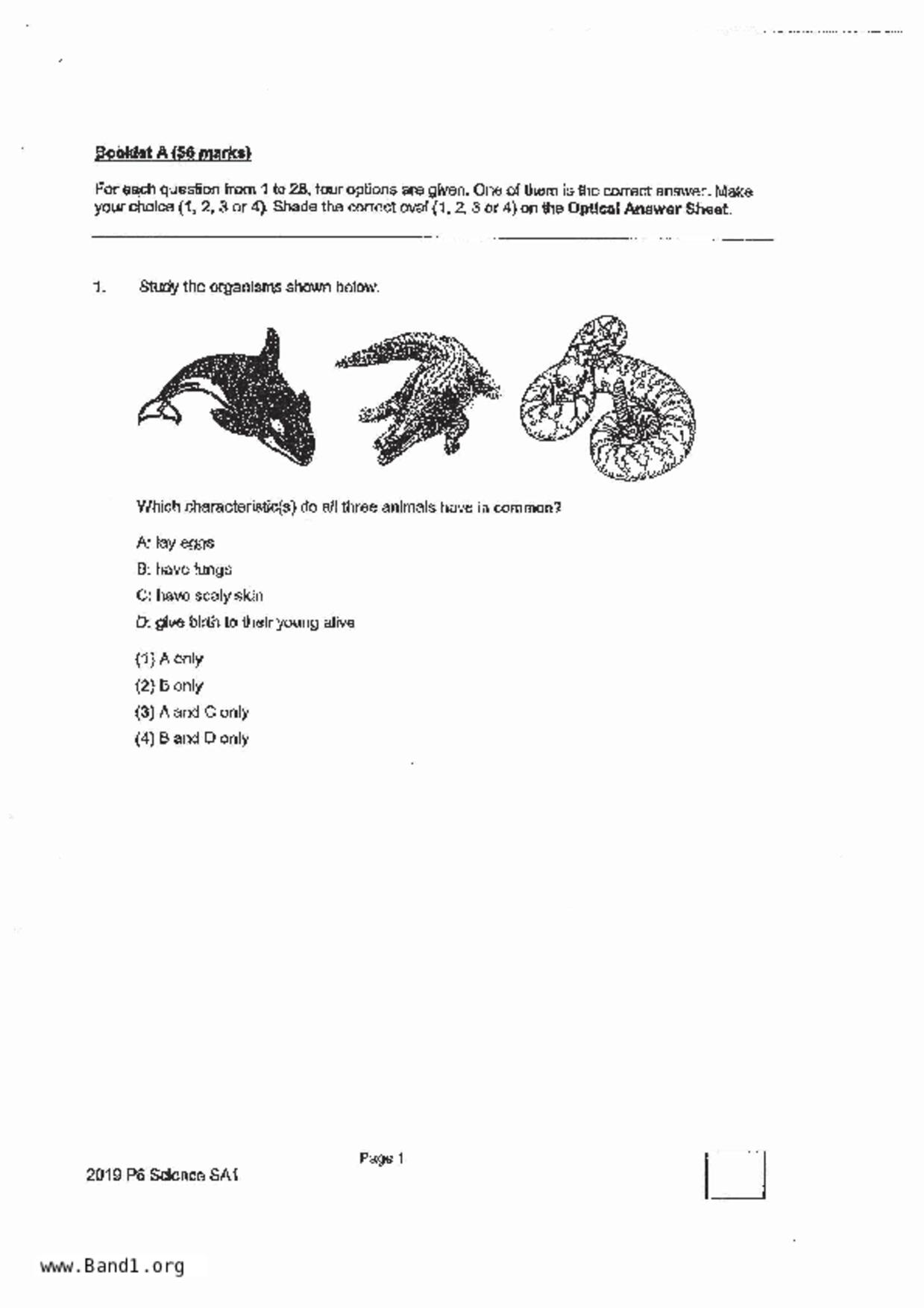P6Science試卷