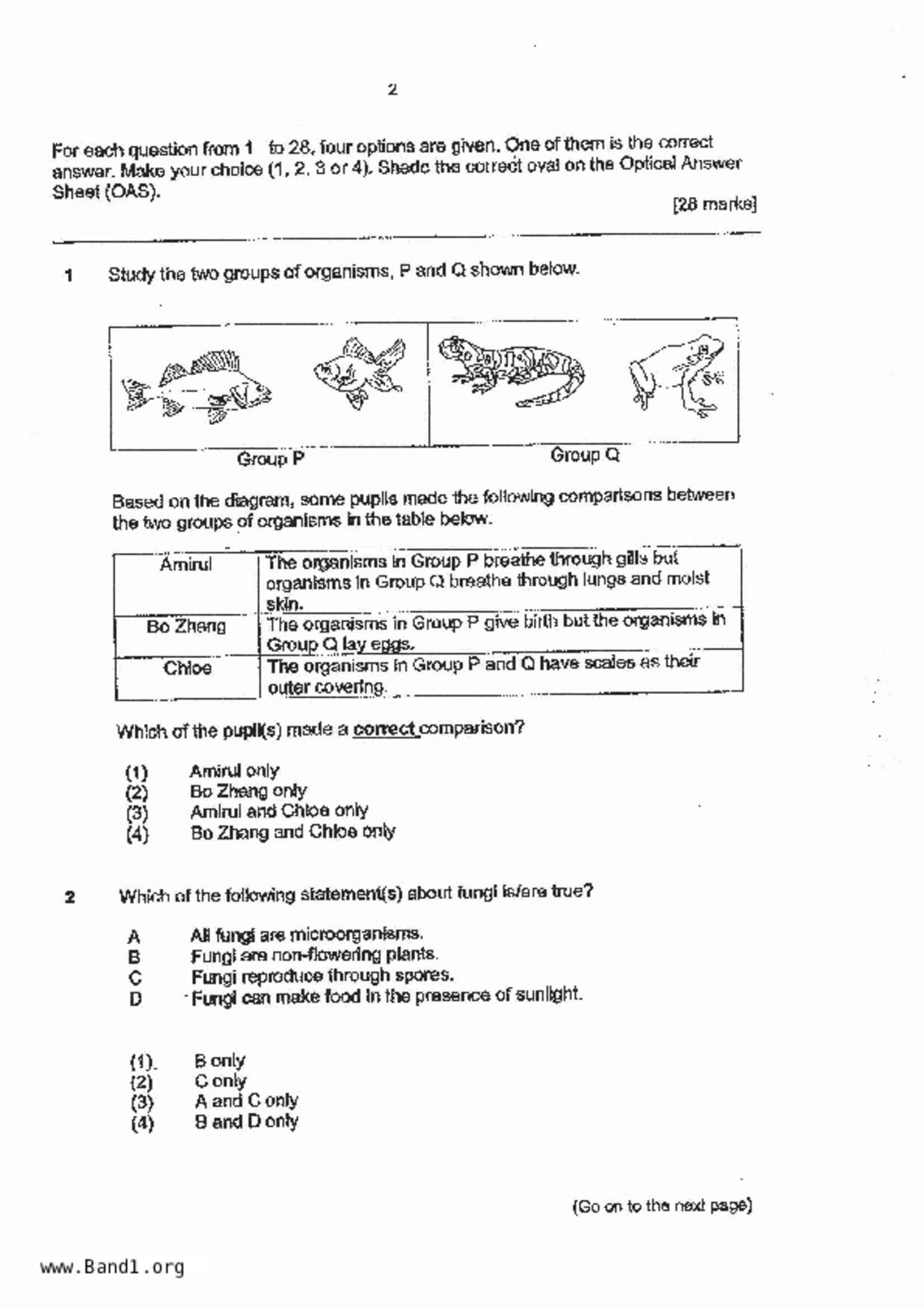 P6Science試卷