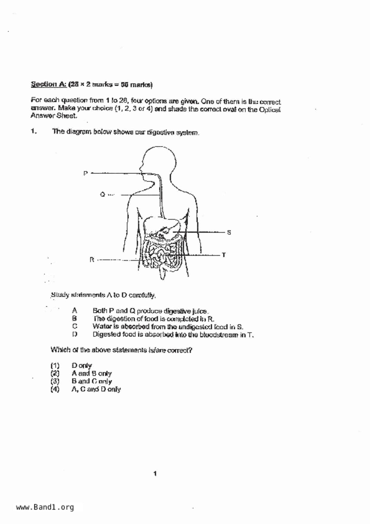 P6Science試卷